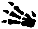 Fossil